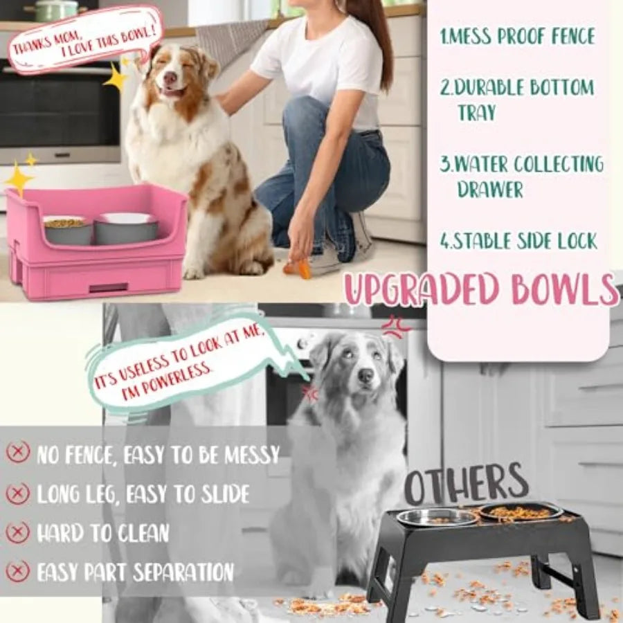 Mess Proof Dog Bowls No Mess Dog Food and Water Bowl Set No Spill Pet Feeder with 2 Stainless Steel Bowls for Dogs