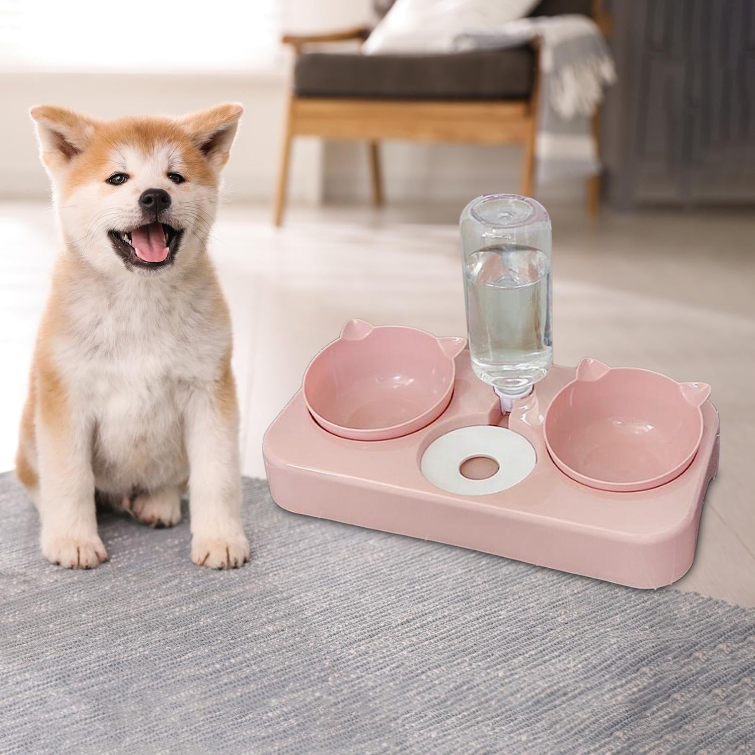 Pet Bowls And Feeding
