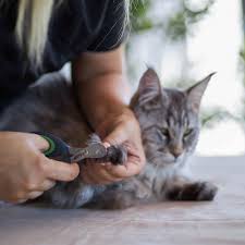Nail Trimmers