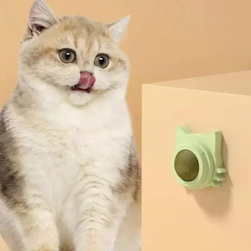 Catnip Balls for Cats, Lickable Chew Toy & Teeth Cleaning Snack for Small & Medium Cats, Fun Pet Supplies