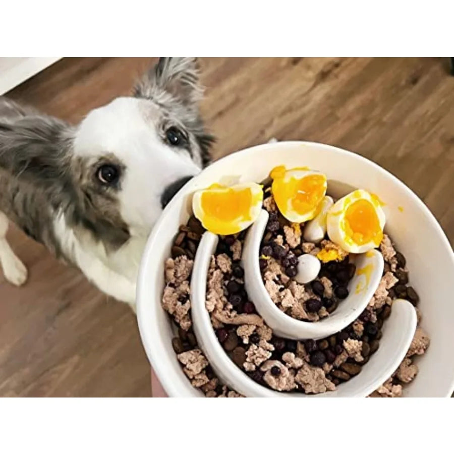 Slow Feeder Dog Bowl 3 Cups Ceramic Maze Dog Food Bowl for Medium/Large Dogs Non-Slip Pet Dish Cute Puzzle Design to Slow Fast