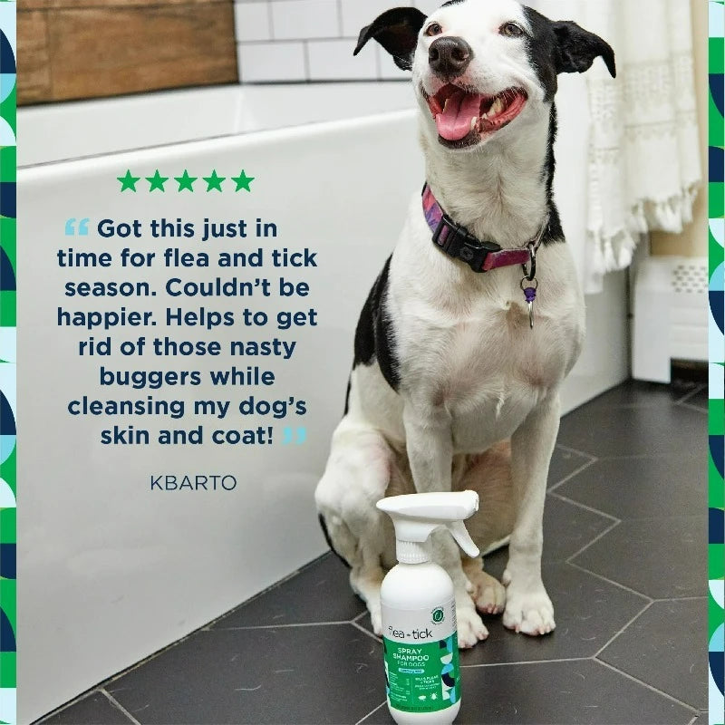 Spray-on Flea & Tick Shampoo for Dogs, 16oz