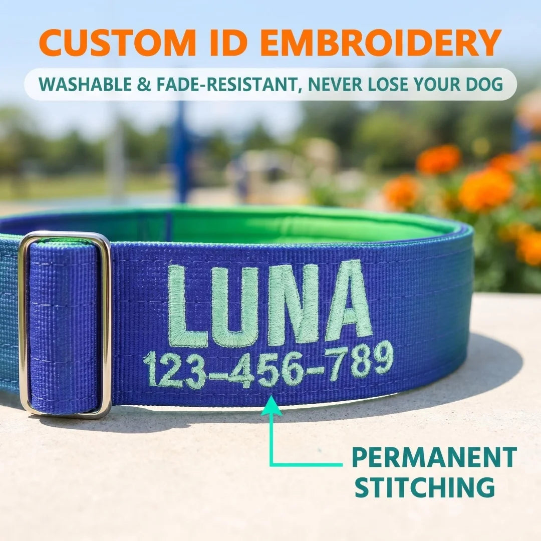 Custom Dog Collar Gradient 12 Colors, Name Number Engraved Knitted Heavy Duty, Adjustable No Pull Anti-Lost Pet Collar Large