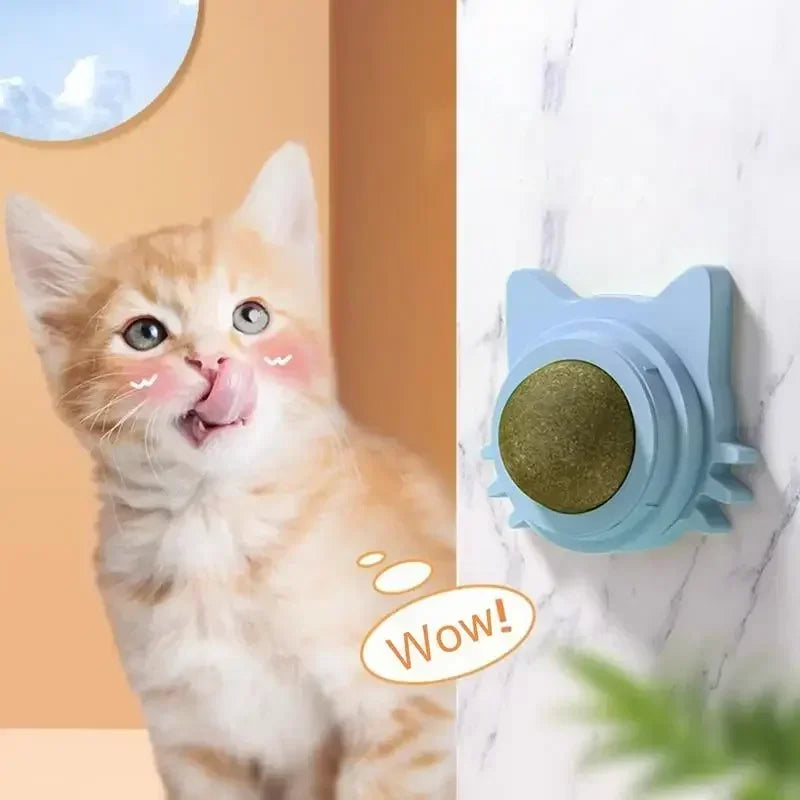 Catnip Balls for Cats, Lickable Chew Toy & Teeth Cleaning Snack for Small & Medium Cats, Fun Pet Supplies