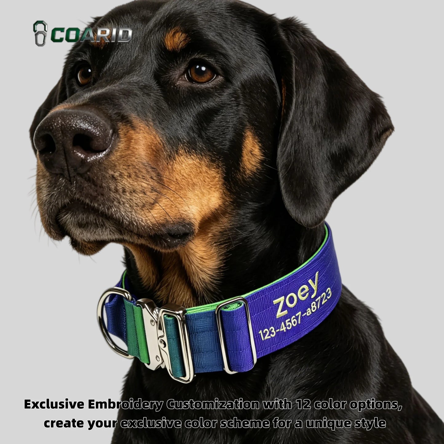 Custom Dog Collar Gradient 12 Colors, Name Number Engraved Knitted Heavy Duty, Adjustable No Pull Anti-Lost Pet Collar Large