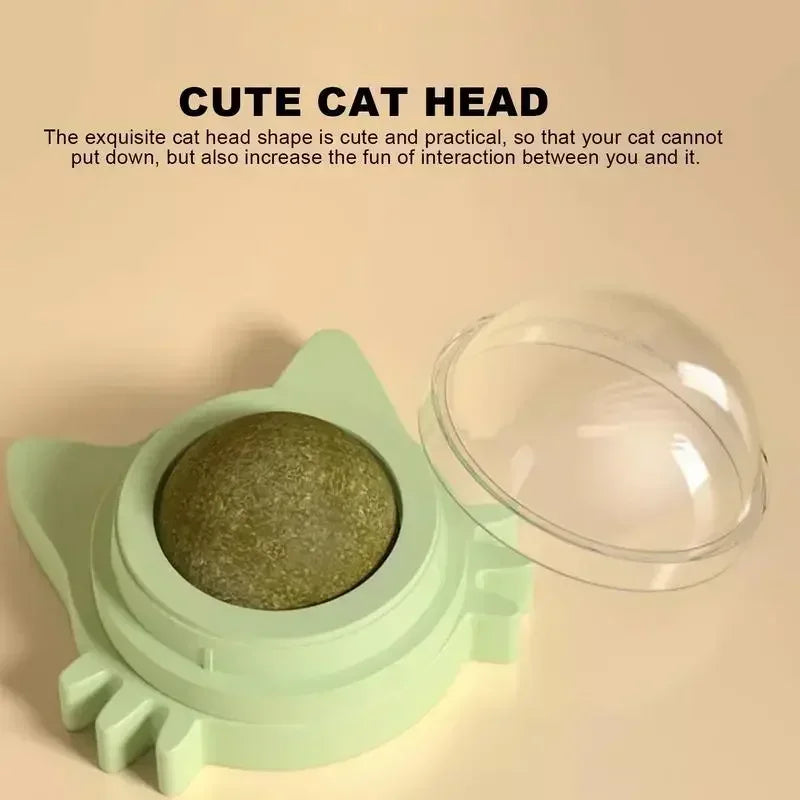 Catnip Balls for Cats, Lickable Chew Toy & Teeth Cleaning Snack for Small & Medium Cats, Fun Pet Supplies