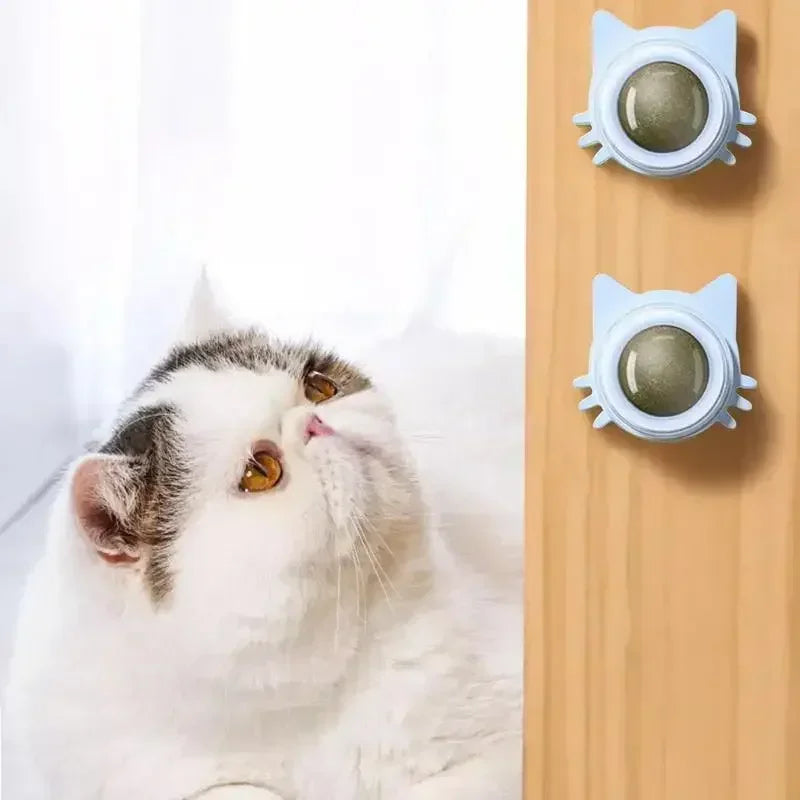 Catnip Balls for Cats, Lickable Chew Toy & Teeth Cleaning Snack for Small & Medium Cats, Fun Pet Supplies