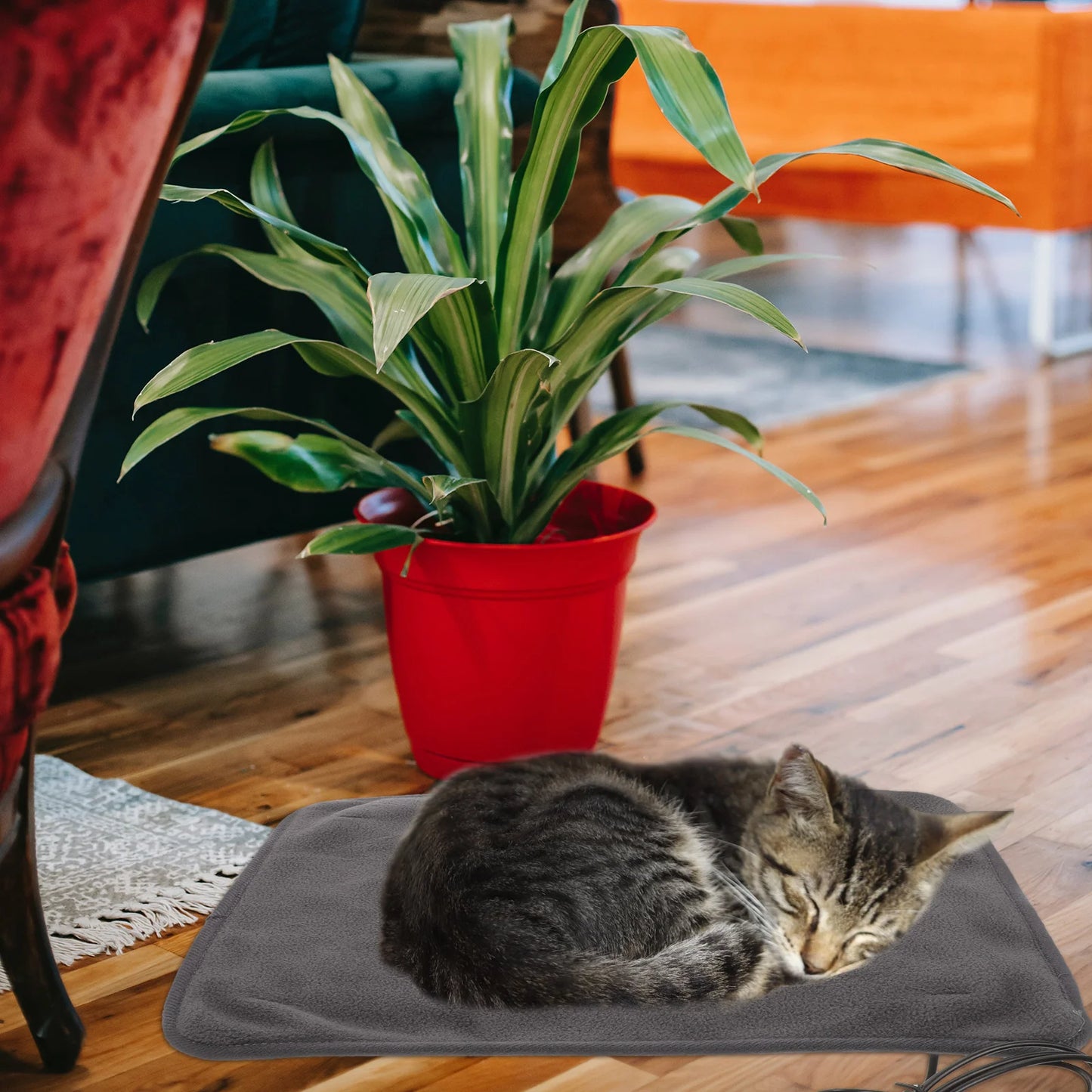 Adjustable Usb Heated Pet Pad Dog Cat Heating Blanket Warm Bed Mats Pads Cushion Puppy Beds Comfortable Rest Areas For Pets