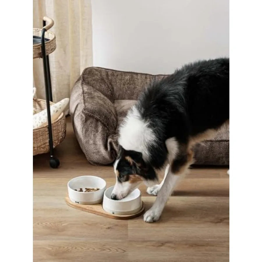 Ceramic Dog Bowls for Medium Small Dogs - 3.2 Cup Medium Dog Food and Water Bowls with Acacia Wood Tray Dual Food and Water Bow
