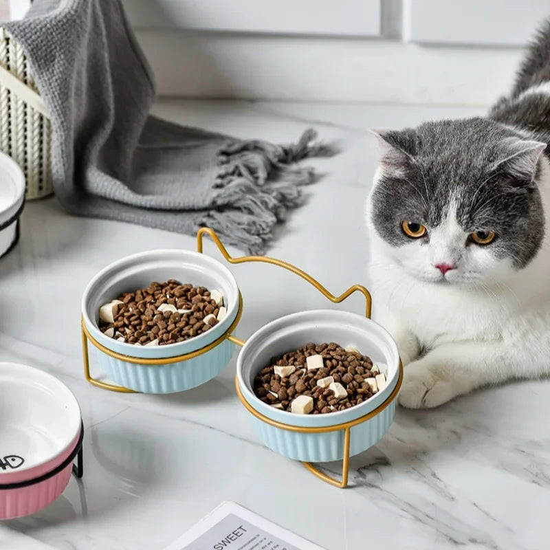 Single Or Double Tilt Bowl Ceramic Bowl for Dog Cat Puppy Kitten Elevated Food Feeder Drinker Pet Water Bowl Pet Supplies