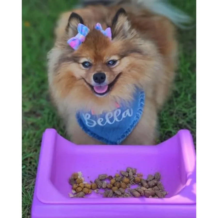 Elevated Dog Bowl for Food 5inch Tall Cat and Dog Feeding Station Vet Approved Non-xic Silicone Feeder Bowl Insert Raised Bowl
