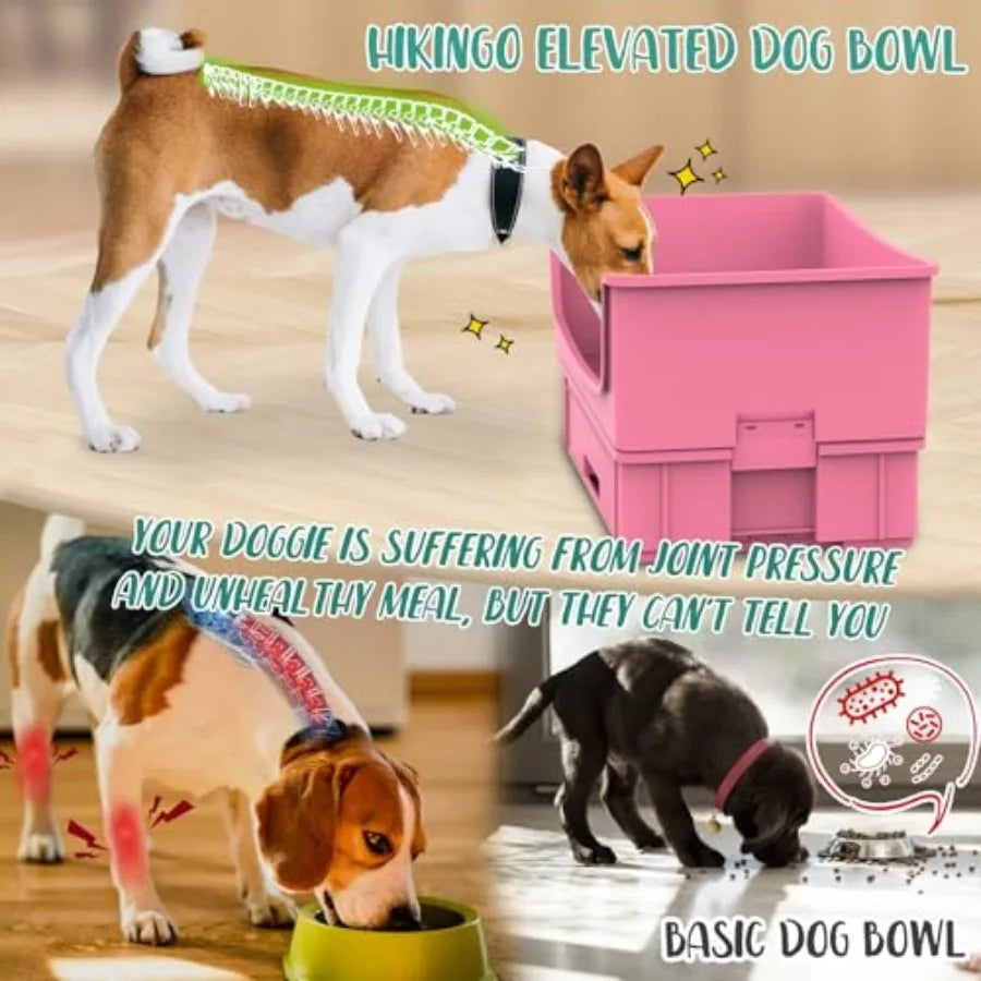 Mess Proof Dog Bowls No Mess Dog Food and Water Bowl Set No Spill Pet Feeder with 2 Stainless Steel Bowls for Dogs